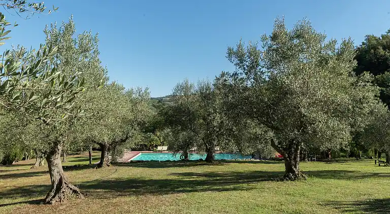 Holiday home in Castelnuovo di Val di Cecina