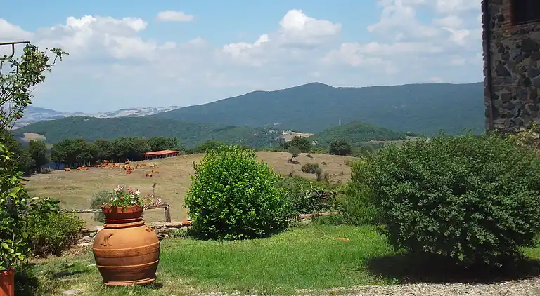 Sommerhus i Montecastelli Pisano