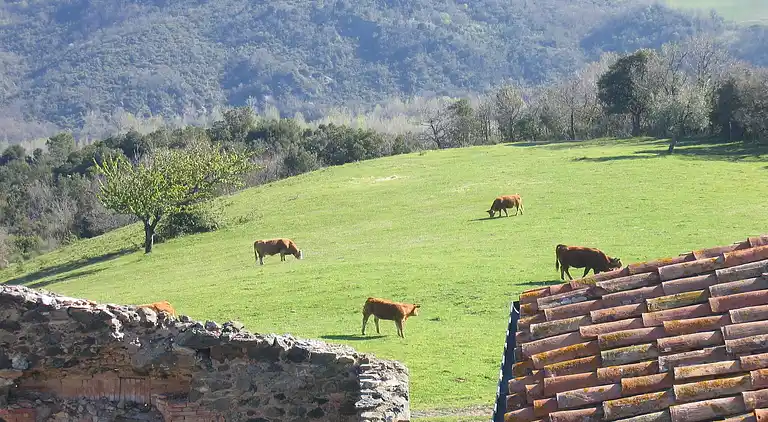 Sommerhus i Montecastelli Pisano