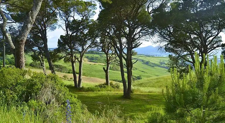 Sommerhus i Montecastelli Pisano
