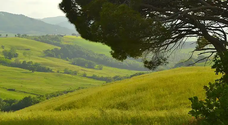 Sommerhus i Montecastelli Pisano