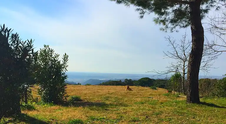 Holiday home in Riparbella