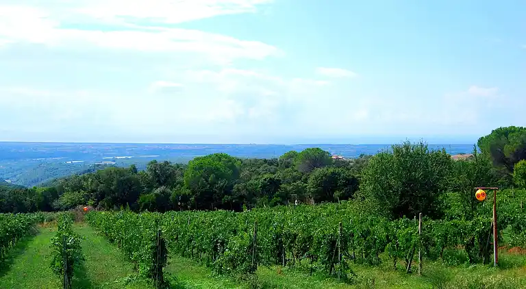 Holiday home in Riparbella