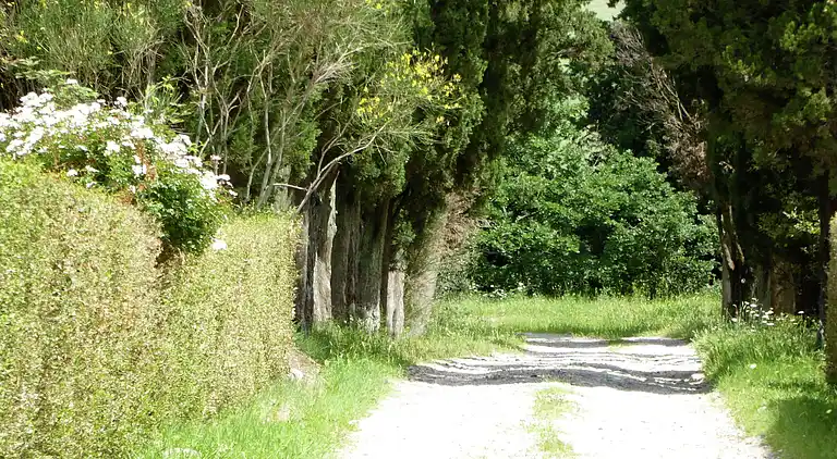 Holiday home in Volterra