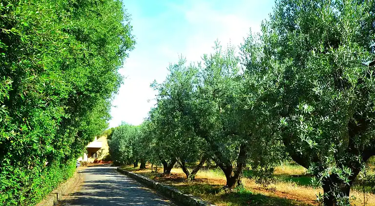 Sommerhus i Rosignano Solvay