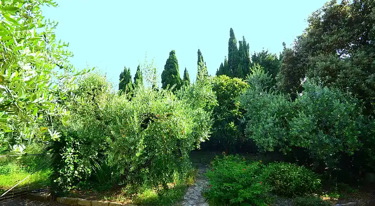 Sommerhus i Rosignano Solvay