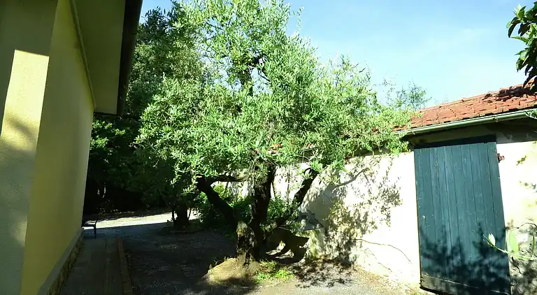 Sommerhus i Rosignano Solvay