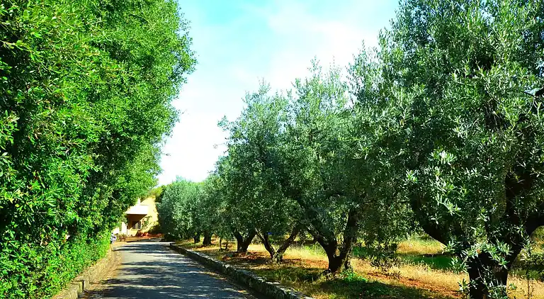 Holiday home in Rosignano Solvay
