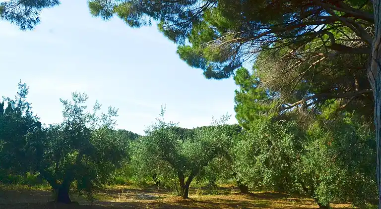 Holiday home in Rosignano Solvay