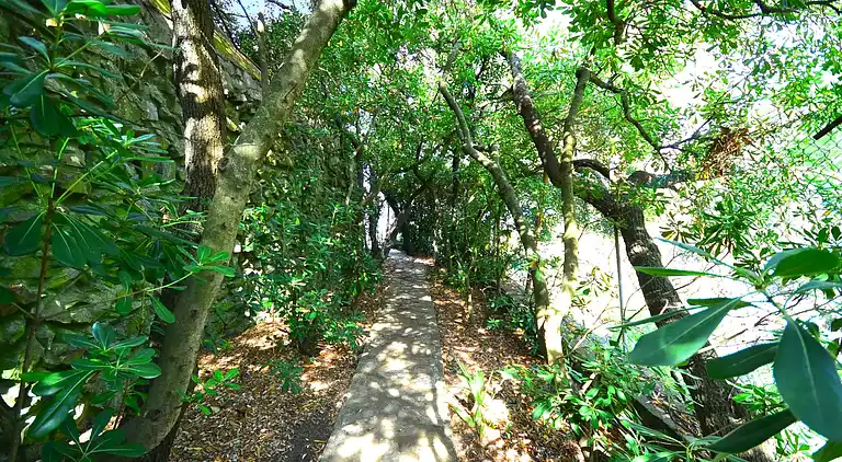 Holiday home in Rosignano Solvay