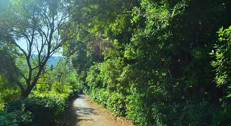 Holiday home in Rosignano Solvay