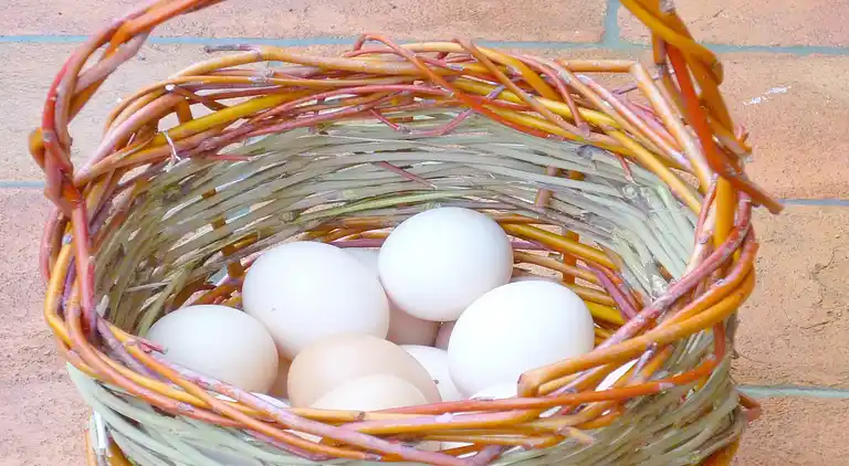 Holiday home in Rosignano Marittimo