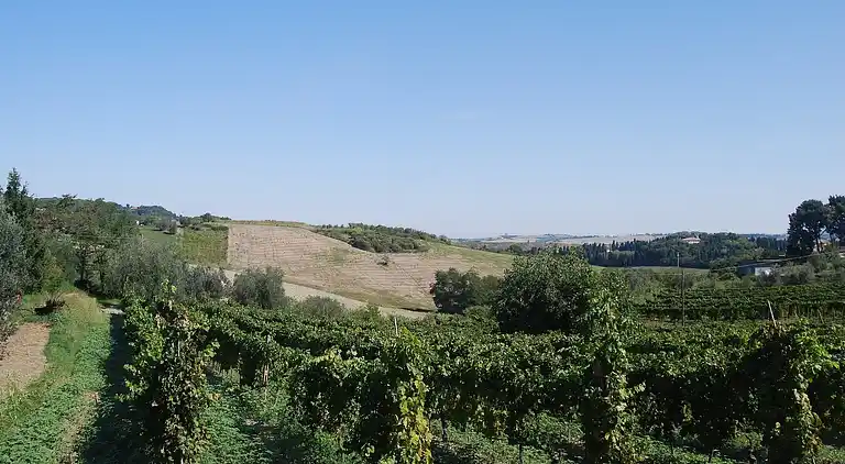 Holiday home in Rosignano Marittimo