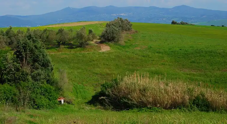 Holiday home in Rosignano Marittimo