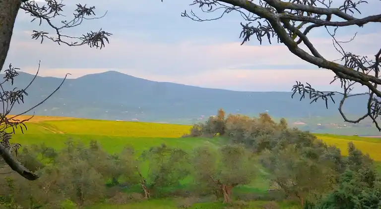 Holiday home in Rosignano Marittimo