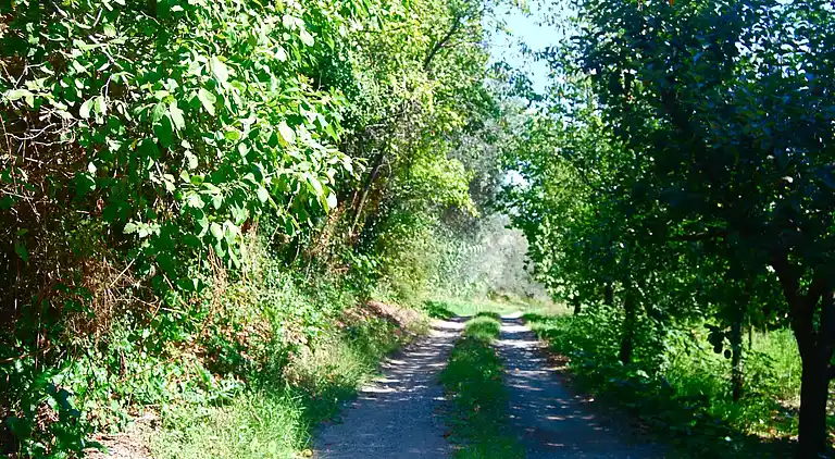 Holiday home in Rosignano Marittimo