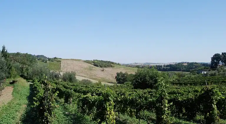 Holiday home in Rosignano Marittimo