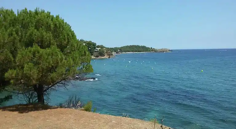 Holiday home in Suvereto