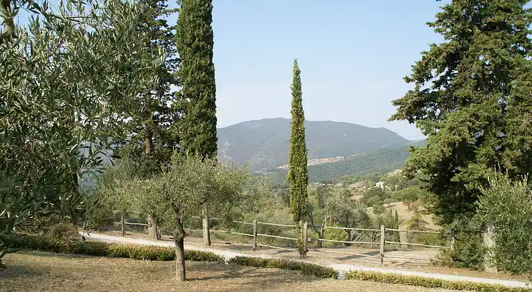 Holiday home in Suvereto