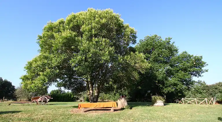 Farm house in Sorano