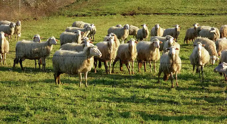 Farm house in Sorano