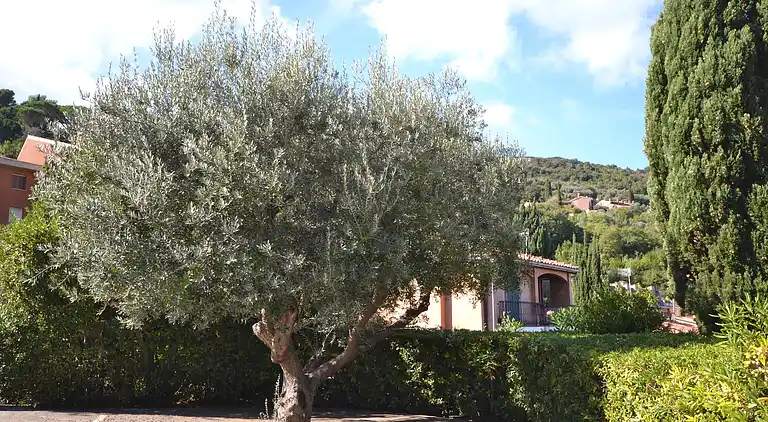 Ferielejlighed i Porto Santo Stefano