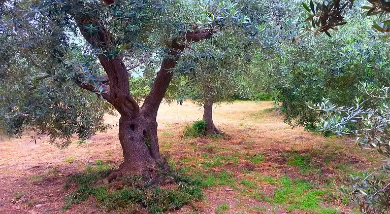 Semesterbostad i Monte Argentario