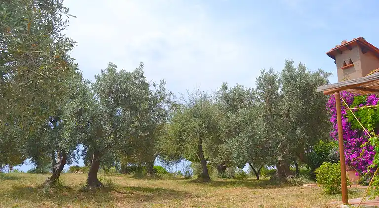 Semesterbostad i Monte Argentario