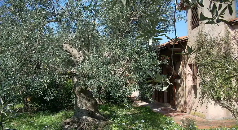 Semesterbostad i Monte Argentario