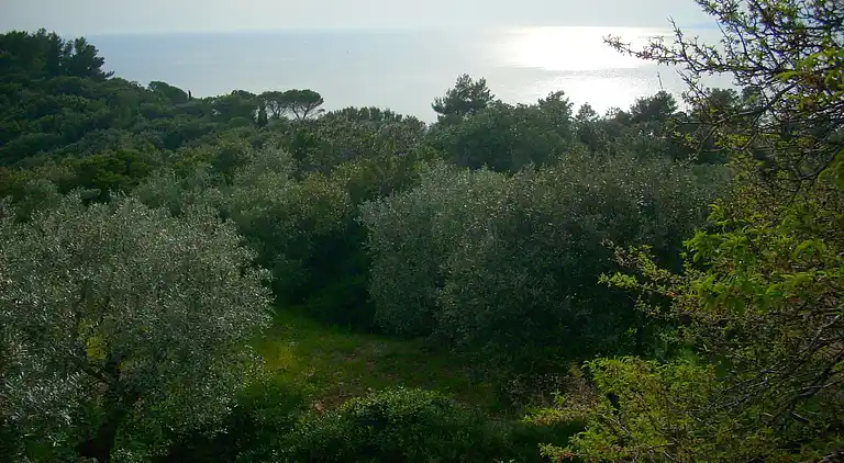 Semesterbostad i Monte Argentario