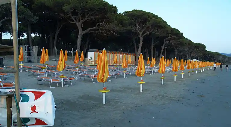 Bungalow in Scarlino