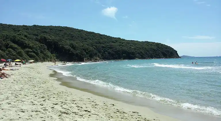 Manor house in Puntone