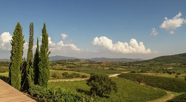 Sommerhus i Scarlino