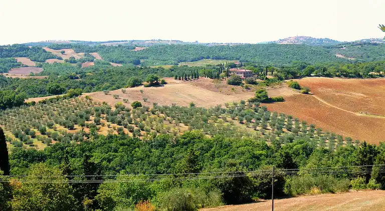 Cottage in Monte Antico Alto
