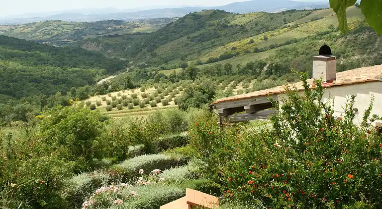 Holiday home in Arcidosso