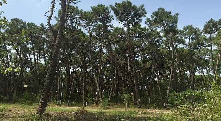 Semesterbostad i Principina a Mare