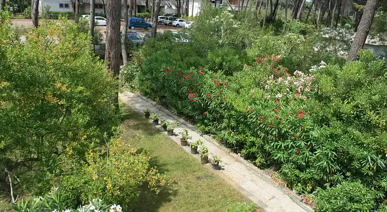 Semesterbostad i Principina a Mare