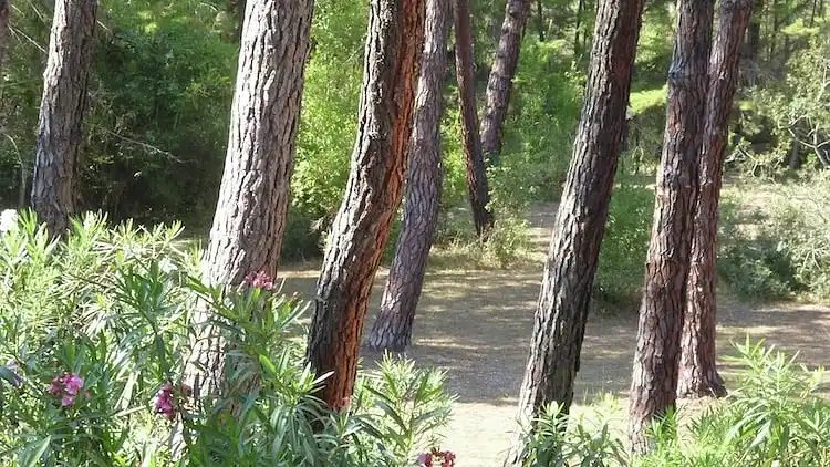 Semesterbostad i Principina a Mare