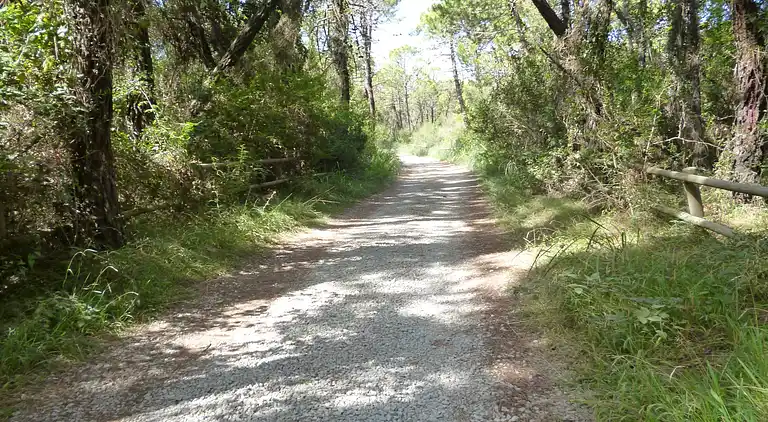 Semesterbostad i Principina a Mare