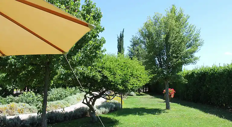 Farm house in Grosseto