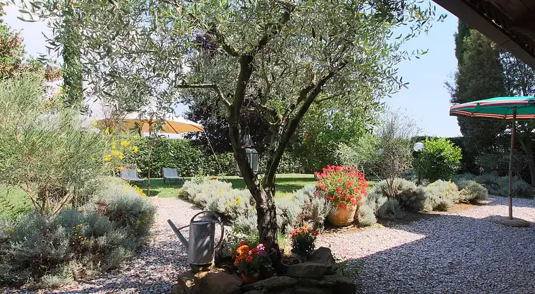 Farm house in Grosseto