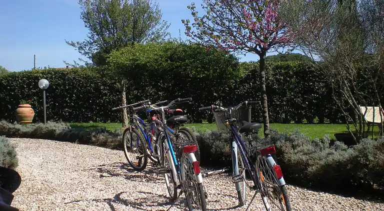 Farm house in Grosseto