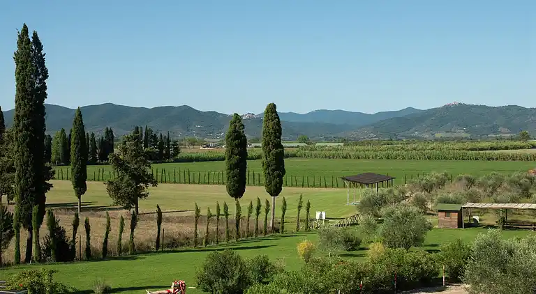 Semesterbostad i Braccagni