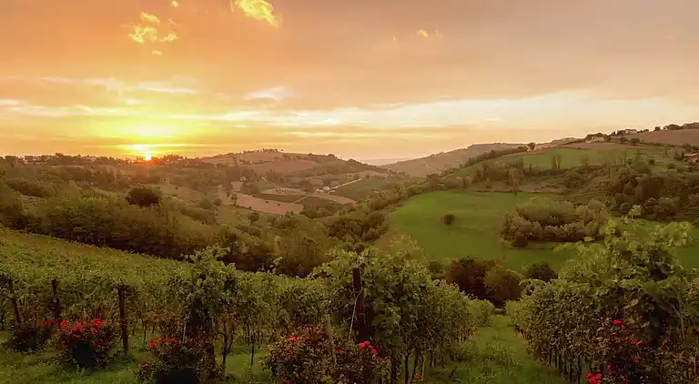 Gårdhus i Montecarotto