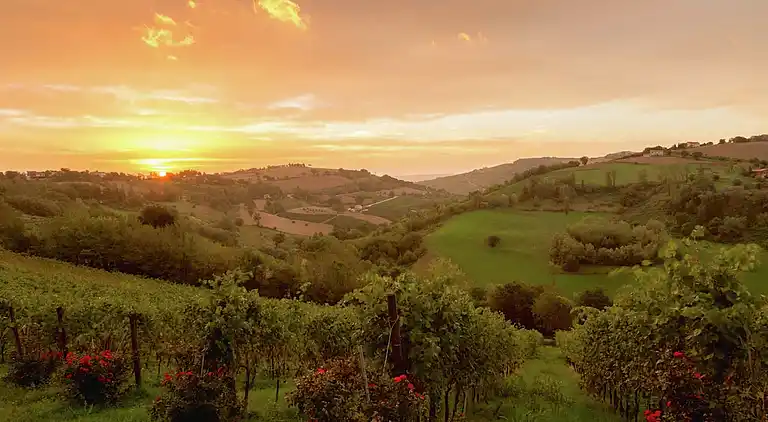 Farm house in Montecarotto