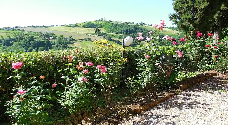 Farm house in Montecarotto