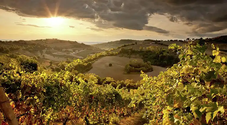 Farm house in Montecarotto