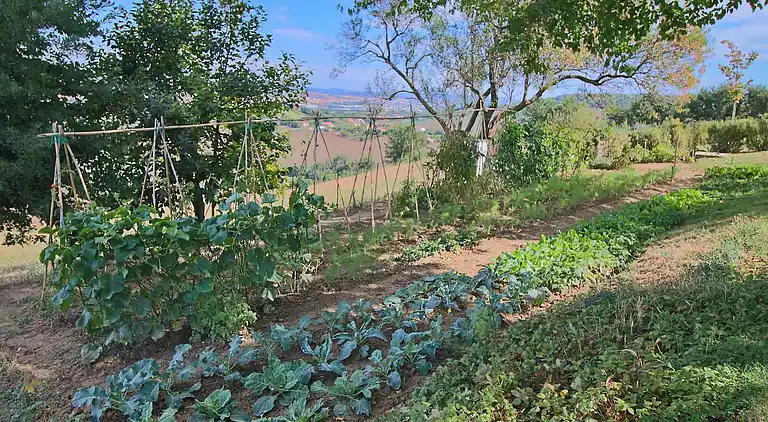 Cottage in Montelabbate