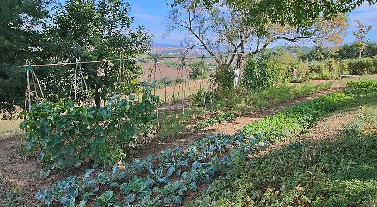 Cottage in Montelabbate