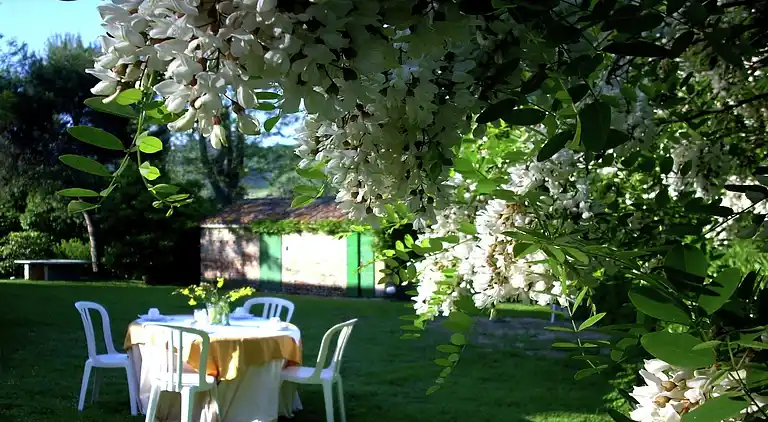 Villa i Colli al Metauro